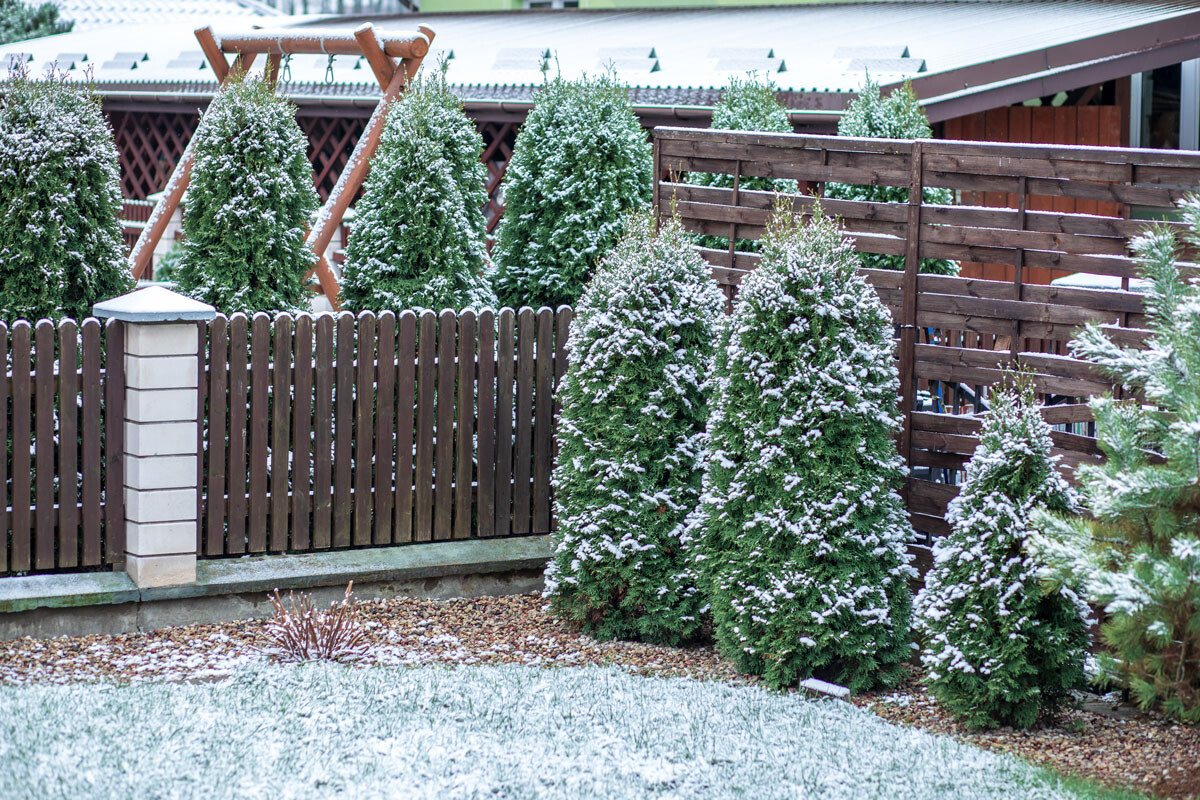 Come preparare il giardino all’inverno - Blog Losa Esterni da Vivere.jpg