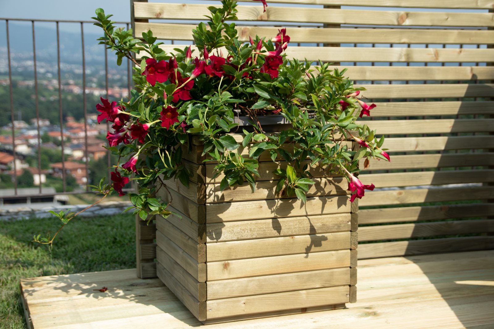 I trend del giardino per il 2024 - Losa Esterni da Vivere